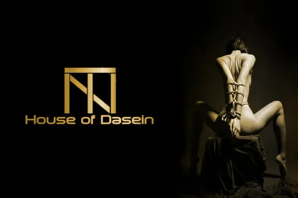 House of Dasein Cock Rings Bdsm Silicone Cock Ring Snowflake Shape Ejaculation Delay Black Pink Blue Purple Vibrators