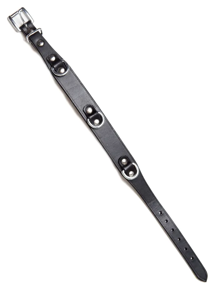 Anal Deluxe Black Leather Triple DRing Collar HonourSkintwocom Anal Deluxe Black Leather Triple DRing Collar HonourSkintwocom