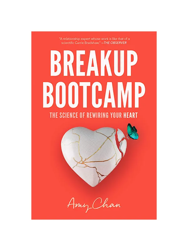 Dey St Vibrators Breakup Bootcamp