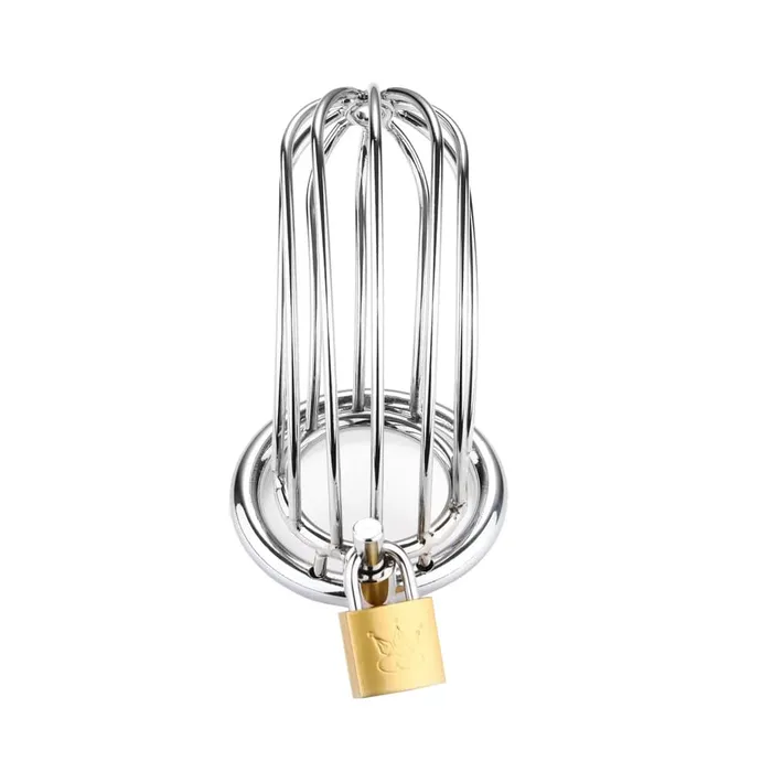 Bye Bye Birdie Medium Metal Cage Lock The Cock Male Sex Toys