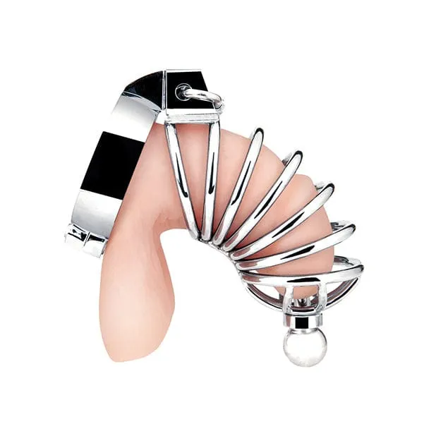 Blue Line Urethral Play Chastity Cock Cage Silver Blue Line Male Sex Toys